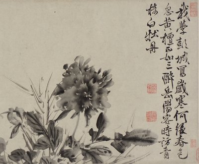 Zwölf Blumen und Gedichte, Ming-Dynastie von Xu Wei